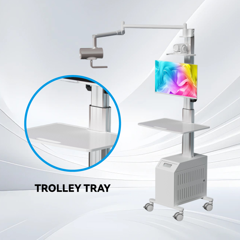 Trolley Tray